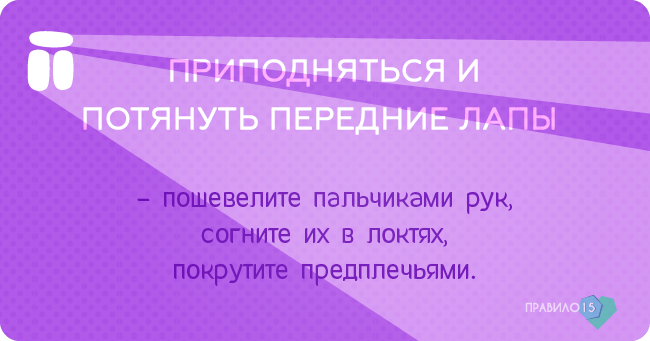мгновений кайфого утра от моей собаки. Диабет, сахарный диабет, СД1 типа, СД 2 типа, Правило 15.
