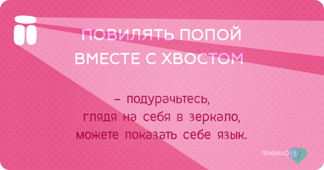 мгновений кайфого утра от моей собаки. Диабет, сахарный диабет, СД1 типа, СД 2 типа, Правило 15.