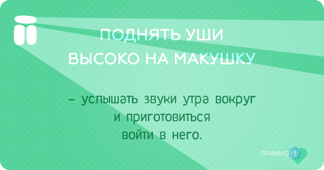 мгновений кайфого утра от моей собаки. Диабет, сахарный диабет, СД1 типа, СД 2 типа, Правило 15.
