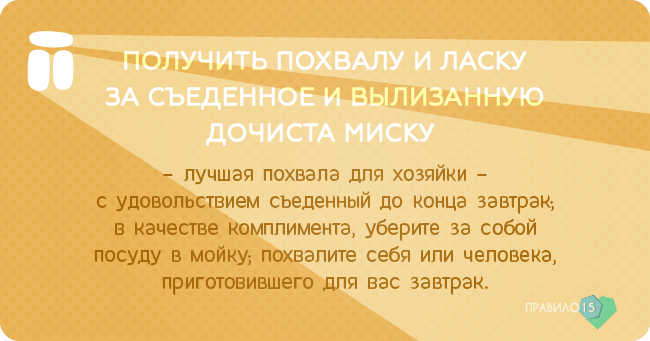 мгновений кайфого утра от моей собаки. Диабет, сахарный диабет, СД1 типа, СД 2 типа, Правило 15.