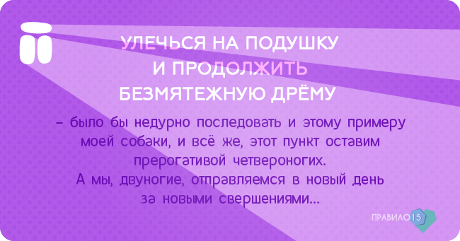 мгновений кайфого утра от моей собаки. Диабет, сахарный диабет, СД1 типа, СД 2 типа, Правило 15.