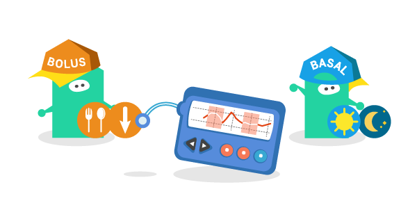 Школа диабета. БАЗАЛЬНЫЙ И БОЛЮСНЫЙ ИНСУЛИН