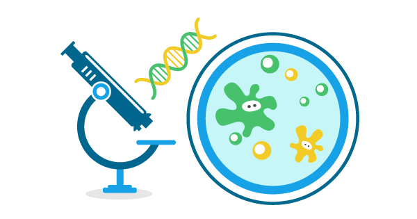 Школа диабета 1 типа. Что такое инсулин?