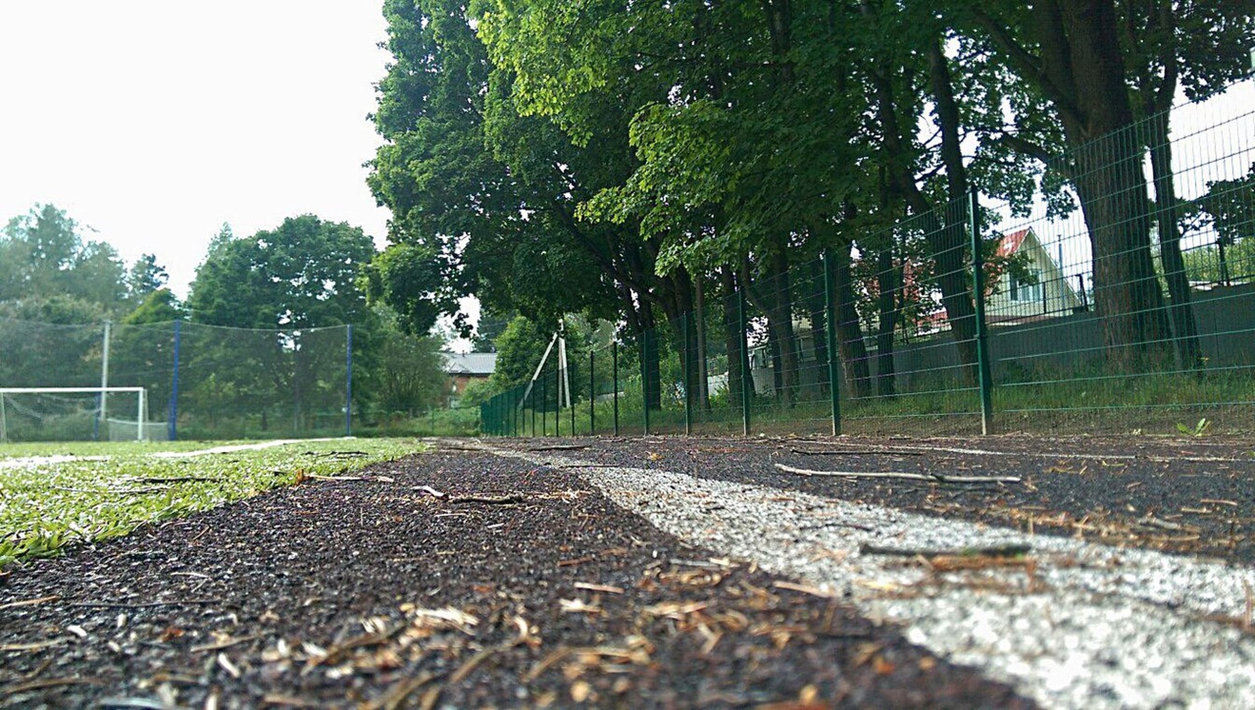 Спорт и диабет 1 типа. Бег. 