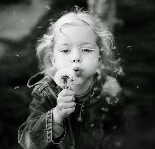 Блог о сахарном диабете Правило 15 ДиаБлог