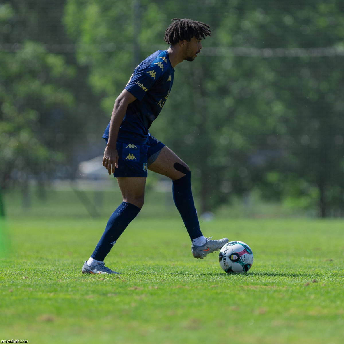 تجريبية العلا