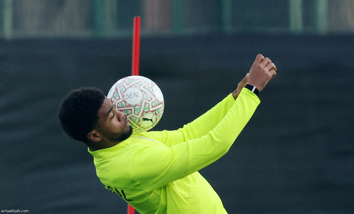 مهارات سنغالية