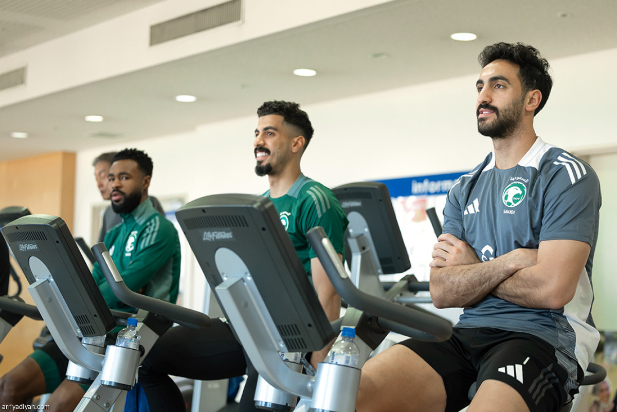 إطلالة الصقور