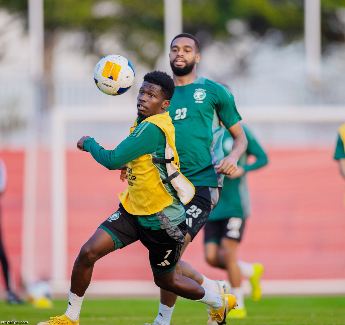 تحضيرات الصقور