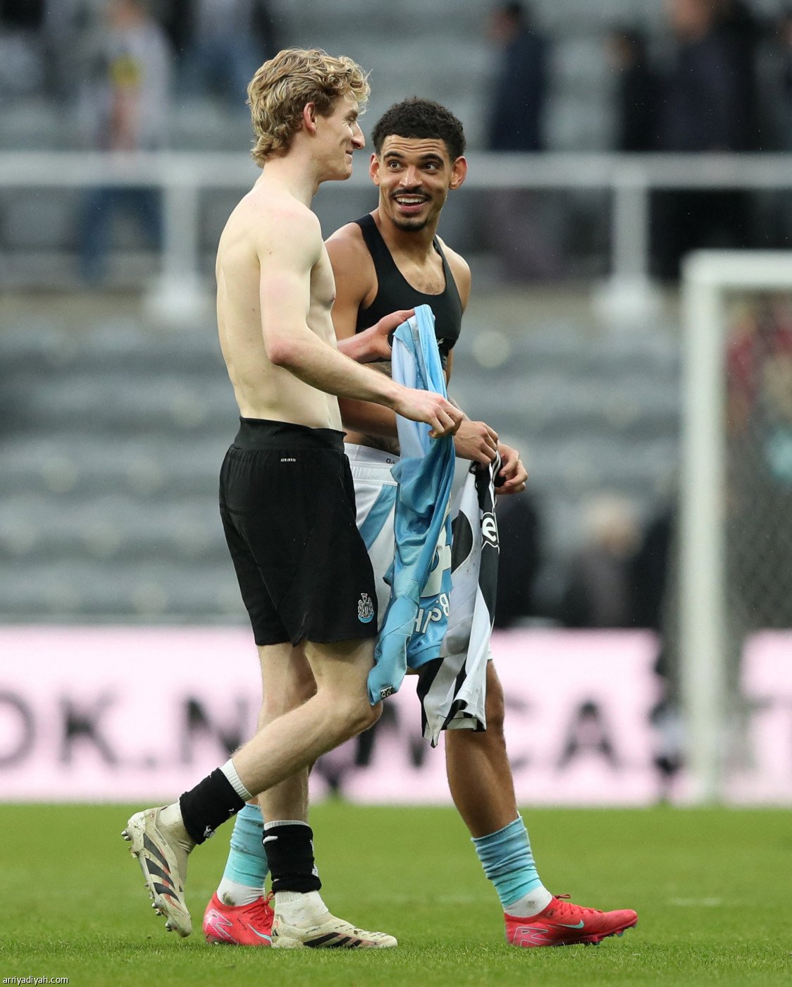 نيوكاسل يتعافى