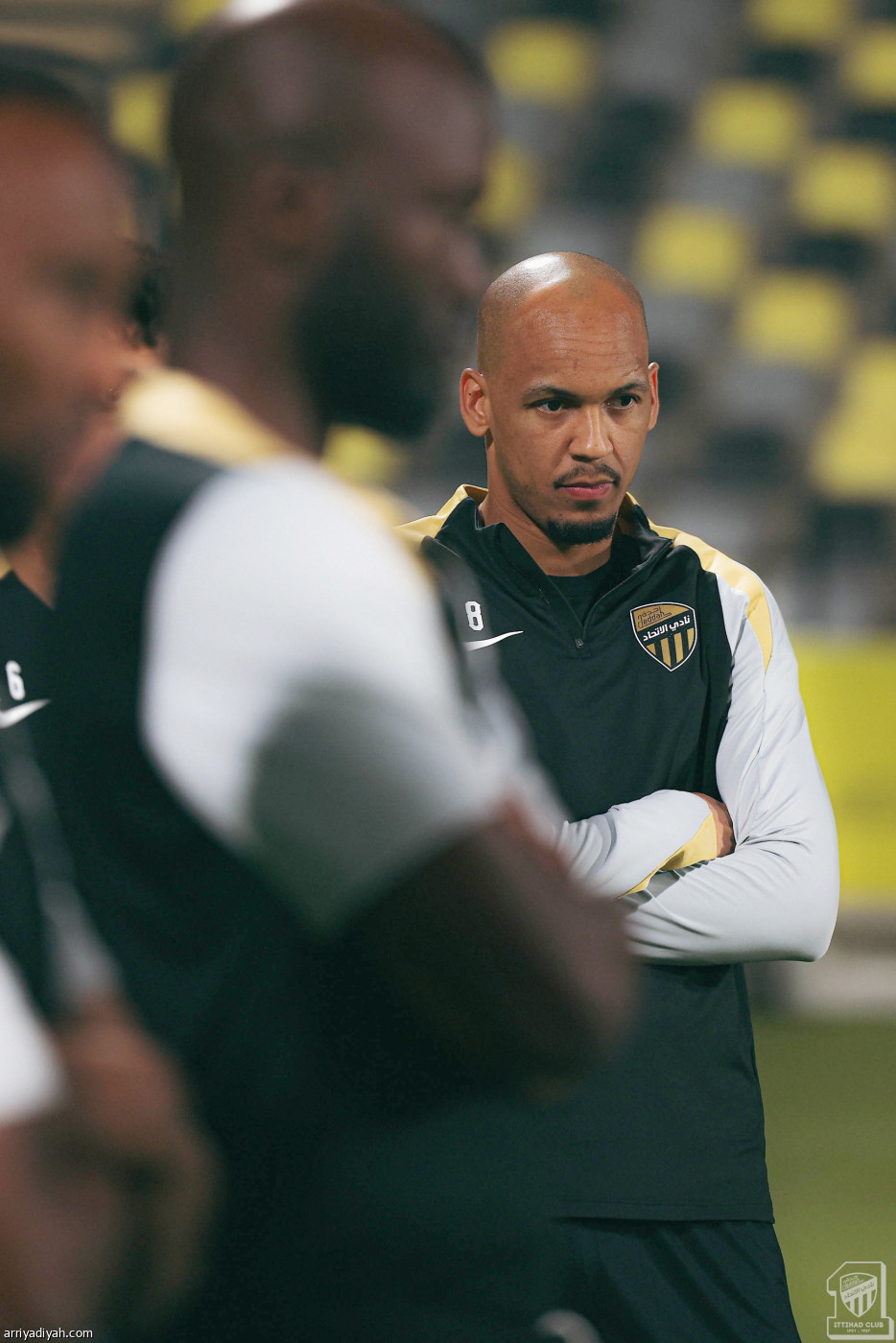 «النمور» جاهزون