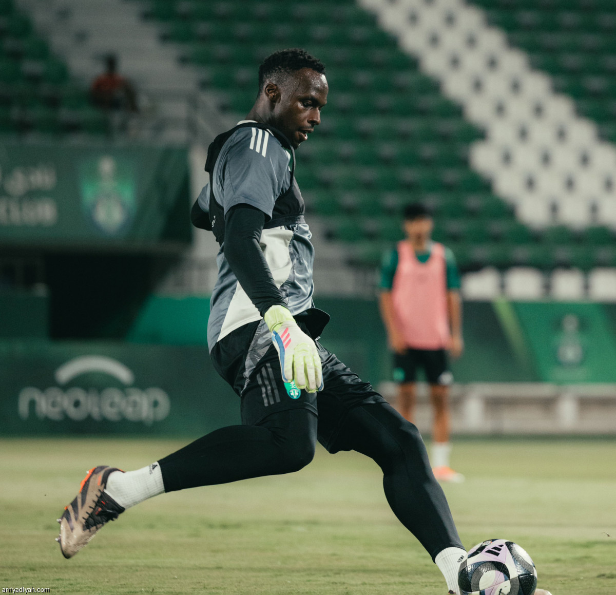 الأهلي يعود