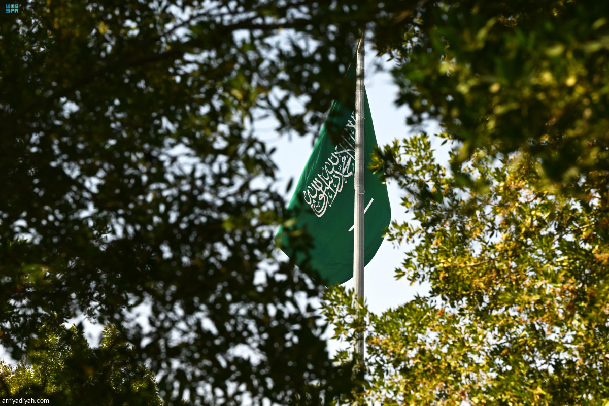 المدن السعودية تحتفي بـ«يوم العلم»