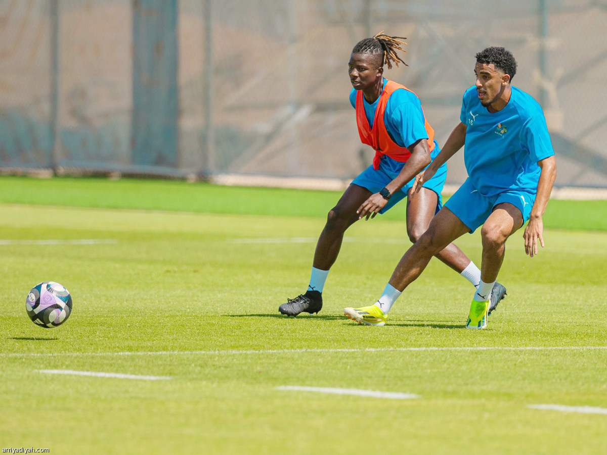 أزيبي في نيوم