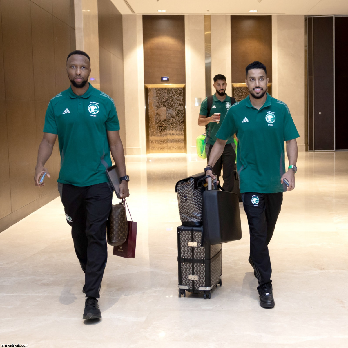 الصقور تودّع