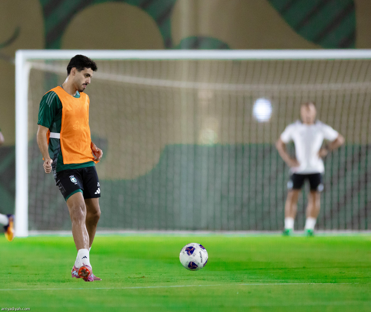 إعداد الصقور