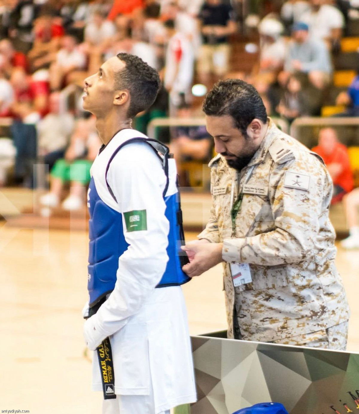 الأخضر.. ثالث العالم