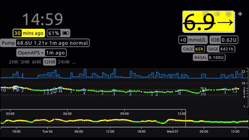 Организация CGM на основе сенсора Freestyle Libre. Диабет, сахарный диабет, СД1 типа, СД 2 типа, Правило 15.