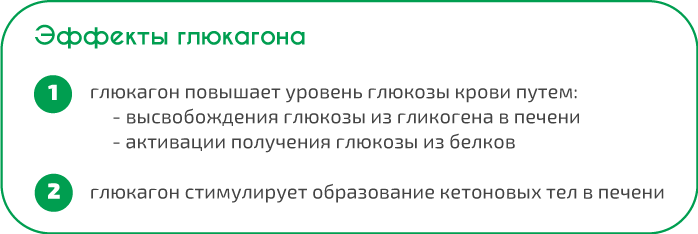 Гормоны, регулирующие уровень глюкозы крови.Диабет, сахарный диабет, СД1 типа, СД 2 типа, Правило 15.
